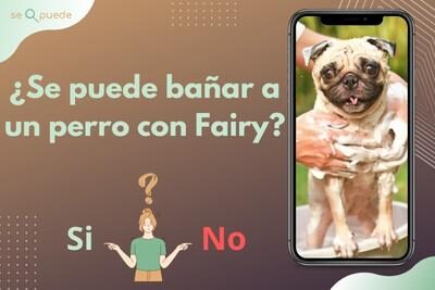 ¿Se puede bañar a un perro con Fairy