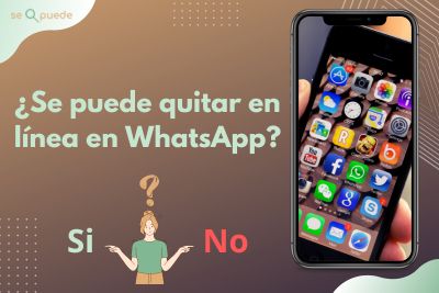 ¿Se puede quitar en línea en WhatsApp?